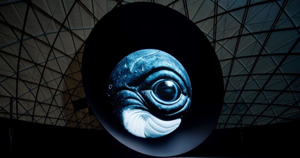 BLUE OCEAN DOME メインビジュアル