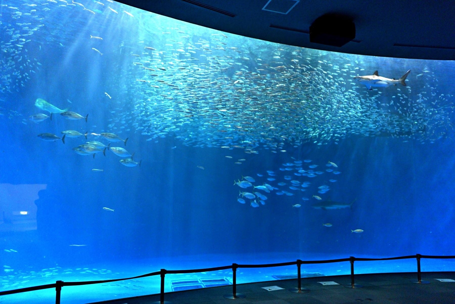 名古屋港水族館 外観イメージ。日本最大級の水族館。