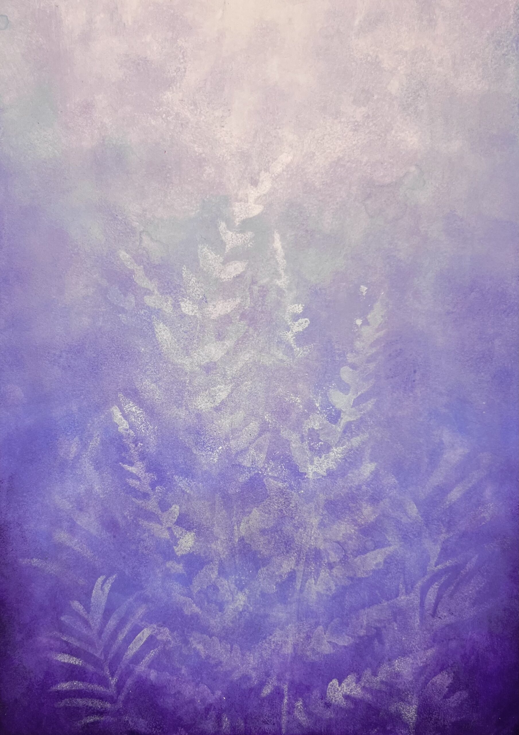 Blooming５